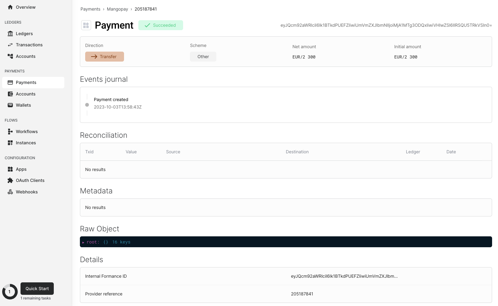 Payment Information on Formance Console